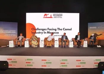 العيون تحتضن مؤتمرا دوليا حول الإبيليات