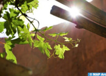 توقعات أحوال الطقس اليوم الخميس