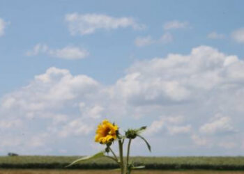 توقعات أحوال الطقس اليوم الاثنين