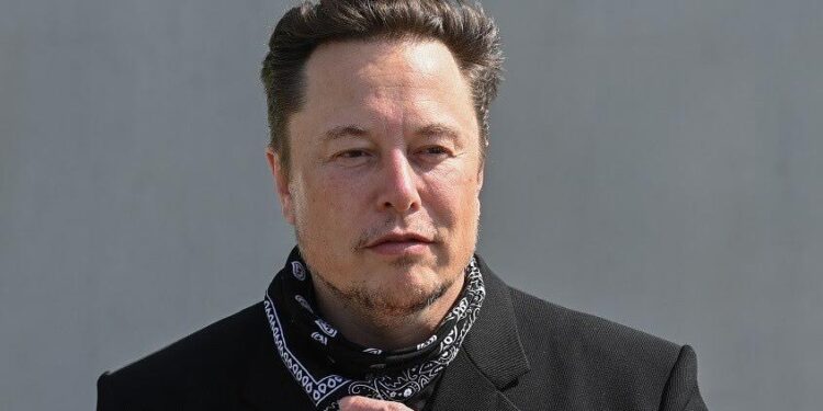 إيلون ماسك: 4 سنوات لكامالا هاريس عقاب قاس لن أتحمله