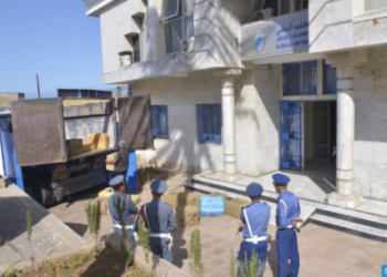 آسفي: حرق أزيد من 8 أطنان من الشيرا ومواد مخدرة أخرى