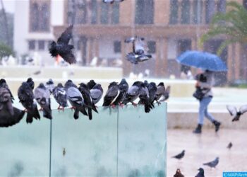 زخات رعدية قوية مصحوبة بحبات البرد وبهبات رياح مرتقبة غدا الأحد بعدد من أقاليم المملكة (نشرة إنذارية)