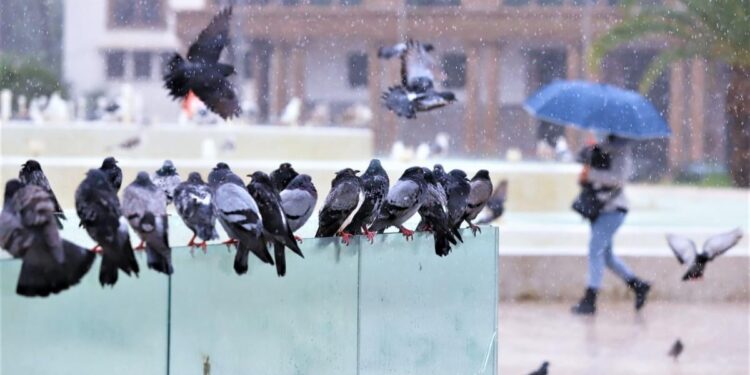 زخات رعدية قوية مصحوبة بحبات البرد وبهبات رياح مرتقبة غدا الأحد بعدد من أقاليم المملكة (نشرة إنذارية)