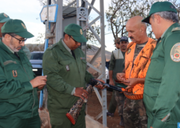 جهة الشرق: انطلاق موسم القنص 2024-2025 بغابة بني يزناسن الشرقية