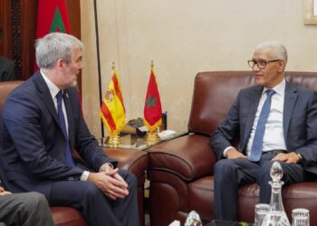 رئيس مجلس النواب يجري مباحثات مع رئيس جزر الكناري