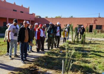 رالي المسيرة الخضراء: توزيع تبرعات لفائدة جمعيات خيرية في كلميمة