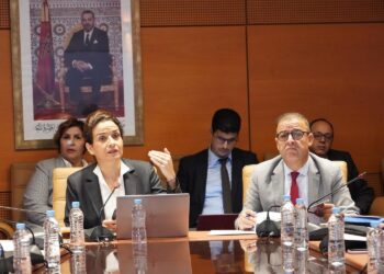 بنعلي: الوزارة ستواصل خلال سنة 2025 العمل على تسريع وتطوير مشاريع الطاقات المتجددة