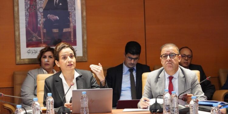 بنعلي: الوزارة ستواصل خلال سنة 2025 العمل على تسريع وتطوير مشاريع الطاقات المتجددة