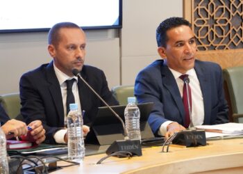 أمين التهراوي  يستعرض بمجلس النواب الخطوط العريضة لبرنامج عمل القطاع لسنة 2025