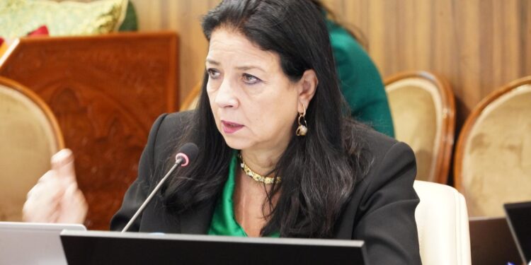 التكوين الأساسي في مجال الرقمنة.. في أفق استفادة 20 ألف شخص سنة 2026