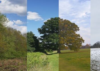 المنظمة العالمية للأرصاد الجوية تدق ناقوس الخطر حول التغيرات المناخية للعام 2024