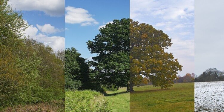 المنظمة العالمية للأرصاد الجوية تدق ناقوس الخطر حول التغيرات المناخية للعام 2024