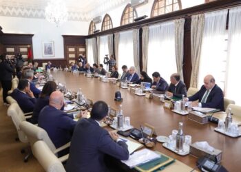 مجلس الحكومة يصادق على مشروع قانون يتعلق بمدونة الأدوية والصيدلة