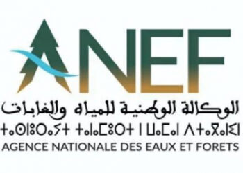 الحفاظ على المحيط الحيوي لأرز الأطلس محور لقاء بإفران يومي 19 و 20 نونبر