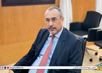 رئيس مجلس جهة الداخلة وادي الذهب يستقبل وفدًا من المستثمرين الألمان.