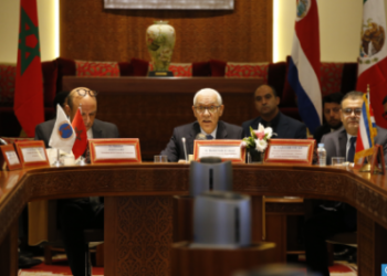 العلمي : إفريقيا وأمريكا اللاتينية تتوفران على إمكانيات هائلة للنهوض بالتنمية المشتركة