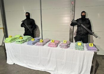 باستخدام كلاب الشرطة …حجز الآلاف من الأقراص  المهلوسة  بميناء طنجة