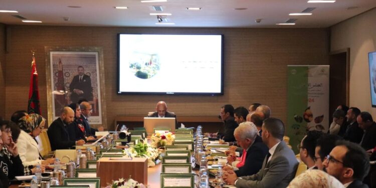 انعقاد أشغال الدورة الثانية للمجلس الإداري للمكتب الجهوي للاستثمار الفلاحي لملوية برسم سنة 2024