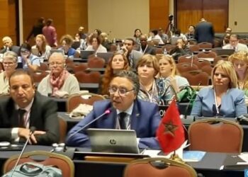 اتفاقية صون التراث الثقافي غير المادي لا يجب أن تستغل بأي شكل لأغراض السطو الثقافي (السيد الدهر)