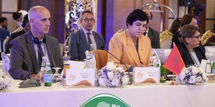 انتخاب المغرب على رأس الأمانة العامة للمنظمة الإفريقية للأجهزة العليا للرقابة المالية والمحاسبة