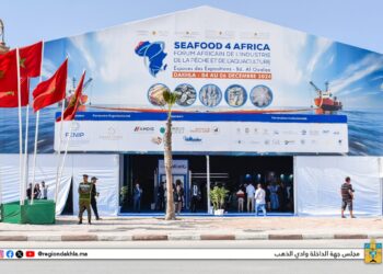 الداخلة.. انطلاق فعاليات منتدى “Seafood 4 Africa 2024
