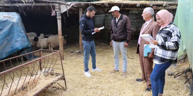 تاونات.. انطلاق عملية الإحصاء العام لقطيع الماشية الوطني 2024