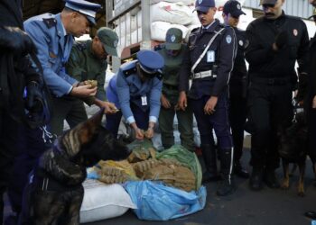 ميناء الدار البيضاء.. إجهاض محاولة لتهريب 3,619 طن من مخدر الشيرا (مصدر أمني)