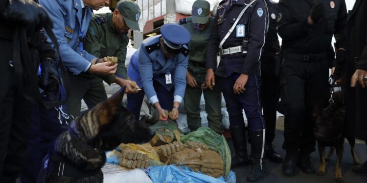 ميناء الدار البيضاء.. إجهاض محاولة لتهريب 3,619 طن من مخدر الشيرا (مصدر أمني)