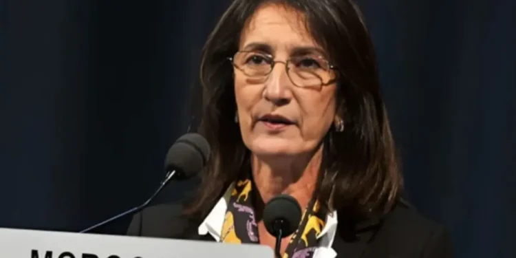 بنخضراء: مشروع أنبوب الغاز المغرب – نيجيريا يعد محفزا للنمو والاستقرار بالنسبة للقارة الإفريقية