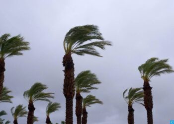 هبات رياح محليا قوية مرتقبة بعد غد الاثنين في العديد من الأقاليم (نشرة إنذارية)