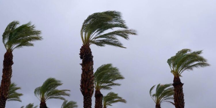 هبات رياح محليا قوية مرتقبة بعد غد الاثنين في العديد من الأقاليم (نشرة إنذارية)