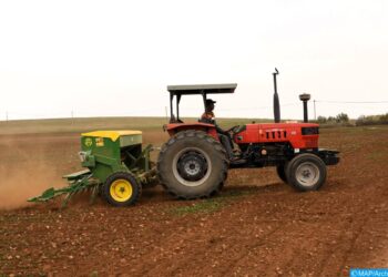 مجلس الحكومة يصادق على مشروع مرسوم بتحديد مبالغ الحد الأدنى القانوني للأجر في النشاطات الفلاحية وغير الفلاحية