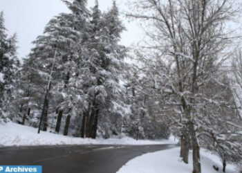 تساقطات ثلجية وموجة برد مرتقبة من السبت إلى الثلاثاء بعدد من مناطق المملكة (نشرة إنذارية)