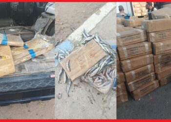 معبر الكركارات.. إجهاض محاولة لتهريب أزيد من 3.5 أطنان من مخدر الشيرا (مصدر أمني)