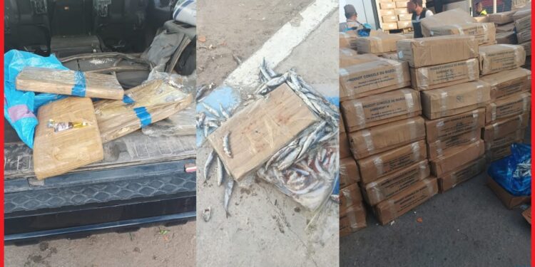 معبر الكركارات.. إجهاض محاولة لتهريب أزيد من 3.5 أطنان من مخدر الشيرا (مصدر أمني)