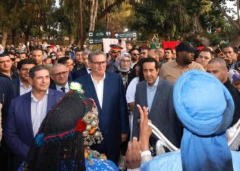 أخنوش : الحكومة ملتزمة بتفعيل الطابع الرسمي للغة الأمازيغية