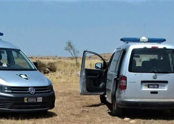 درك النعيمة يوقف عصابة متخصصة في سرقة الأغنام