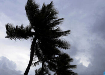 هبات رياح محليا قوية متواصلة إلى يوم الثلاثاء بعدد من أقاليم المملكة (نشرة إنذارية)