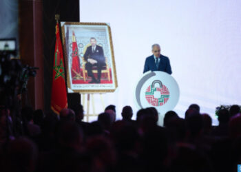 لوديي : المغرب ملتزم بتعزيز التعاون الإفريقي لمواجهة التحديات السيبرانية