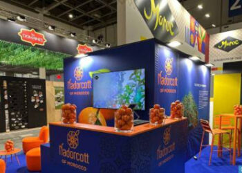 المندرين المغربي (الناضوركوت) يلفت الأنظار في معرض “فروت لوجيستيكا” ببرلين