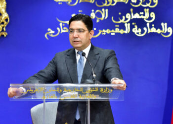 المغرب يشارك في الدورة الـ46 للمجلس التنفيذي للاتحاد الإفريقي بأديس أبابا