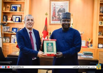 جهة الداخلة وادي الذهب تستقبل وفدًا برلمانيًا غامبيًا لتعزيز الشراكة والتعاون