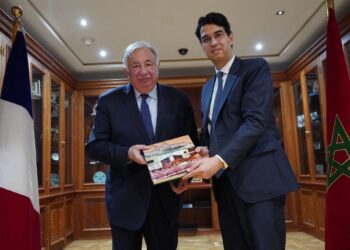 مباحثات بين نائب رئيس مجلس النواب ورئيس مجلس الشيوخ الفرنسي