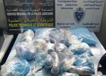 إحباط تهريب أكثر من 53 ألف قرص مهلوس بميناء بني أنصار