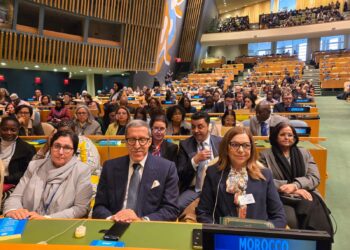 نيويورك…وفد نسائي من مجلس النواب يشارك في الدورة 69 للجنة وضع المرأة بالأمم المتحدة