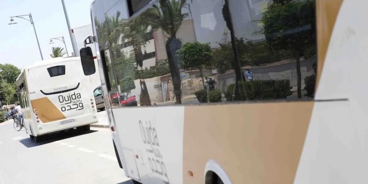 قرار جديد يهم أزمة النقل الحضري بوجدة