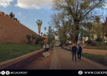 مشاهد بانورامية لحديقة لالة مريم بوجدة بعد الإصلاح