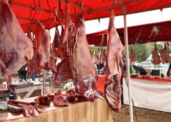 الفريق الحركي بمجلس النواب يطالب بمهمة استطلاعية لكشف أسباب غلاء اللحوم الحمراء