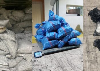 إحباط عملية نوعية لتهريب 514 كيلوغراماً من الكوكايين بميناء طنجة المتوسط