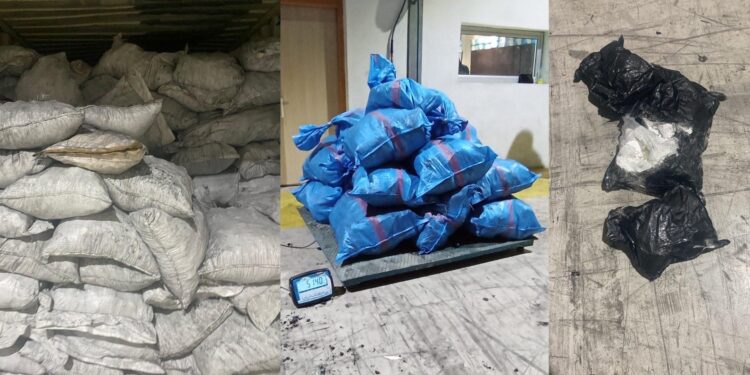 إحباط عملية نوعية لتهريب 514 كيلوغراماً من الكوكايين بميناء طنجة المتوسط